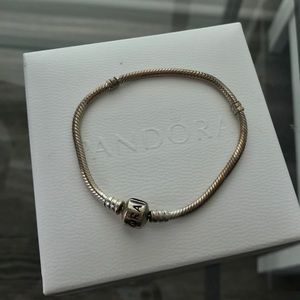 Pandora Moments Snake Chain Bracelet